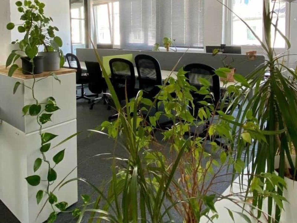 Nachhaltigkeit im Büro – Warum Shared Offices nachhaltig sind
