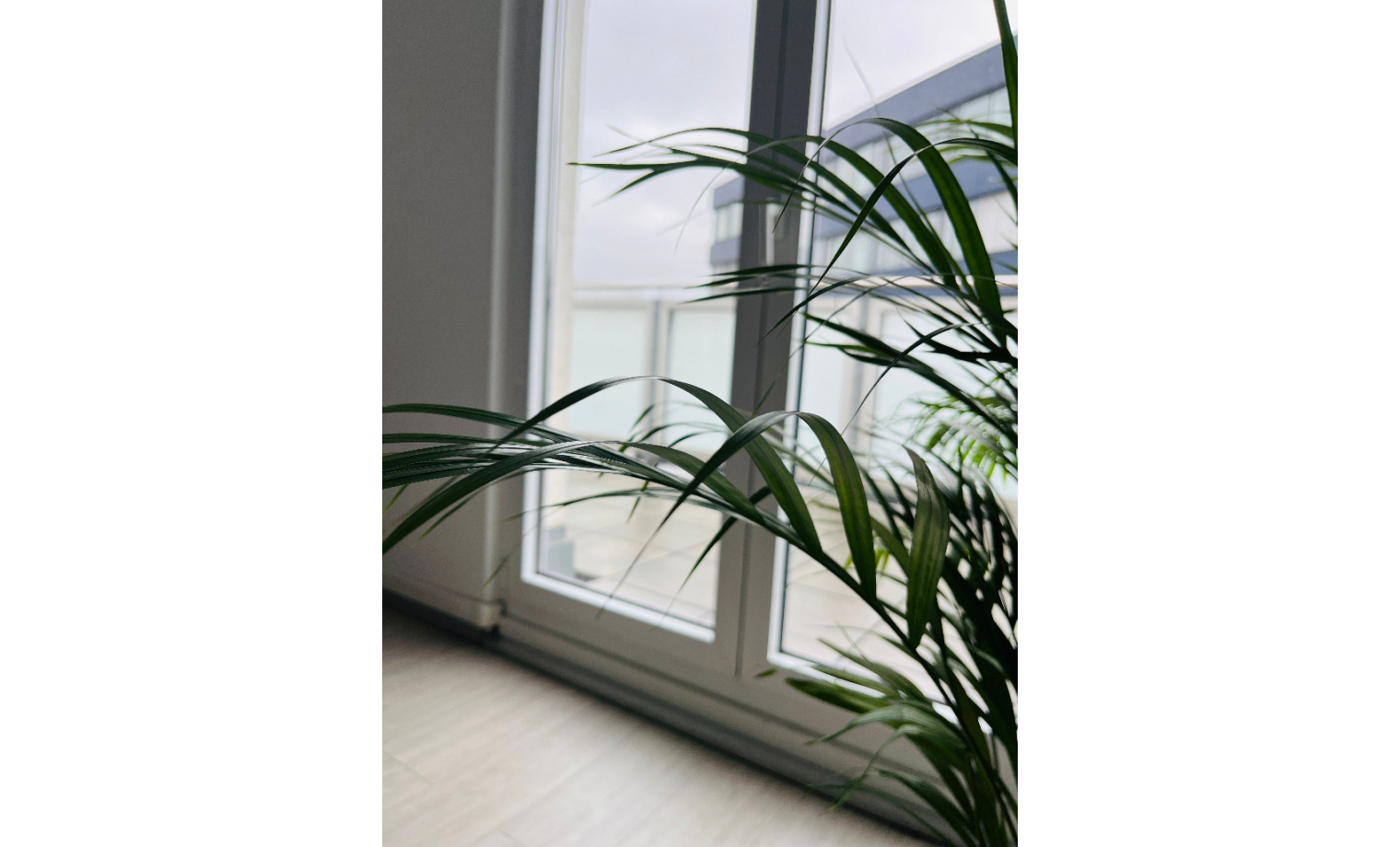 Shared Office Viktoriastraße Saarbrücken 