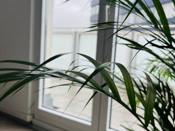 Stylishes Coworking & Büroräume im Penthouse in Saarbrücken-Innenstadt — Bild 7