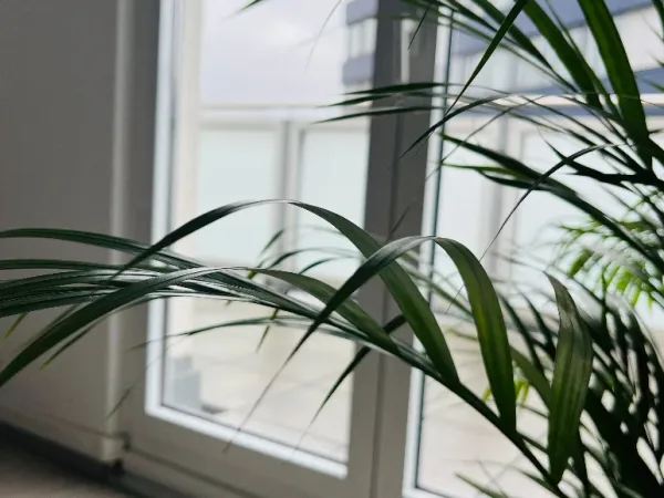 Abschließbares Büro in Saarbrücken (Sankt Johann) – Inspirierende Penthouse Bürogemeinschaft in Saarbrücken-Sankt Johann — Bild 7