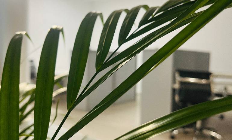 Inspirierende Penthouse Bürogemeinschaft in Saarbrücken-Sankt Johann