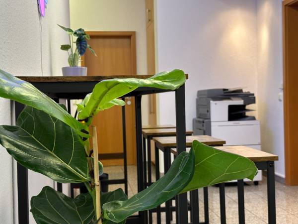 Modernes Coworking & Büros in Nürnberg am Stadtpark — Bild 1
