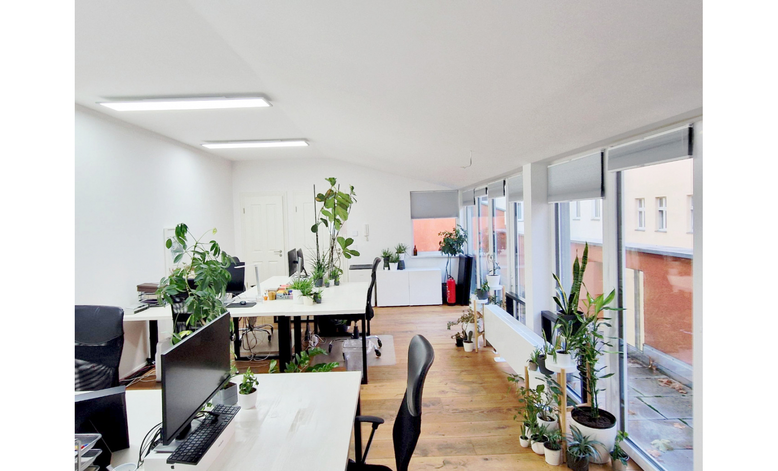 Büro mieten Rheinsberger Straße Berlin Mitte