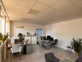 Helles Büro mit Alpenblick – ideal für konzentriertes Arbeiten