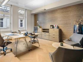 Premiumbüroraum in Business Center in Wien Innere Stadt