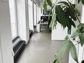 Dein Arbeitsplatz am Schwanenspiegel