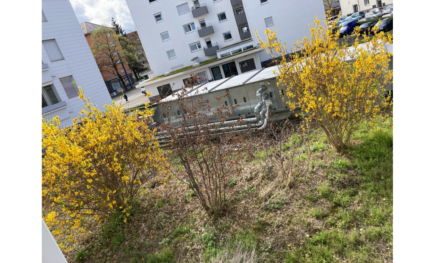 Büro mieten Hornusstraße Freiburg im Breisgau Zähringen