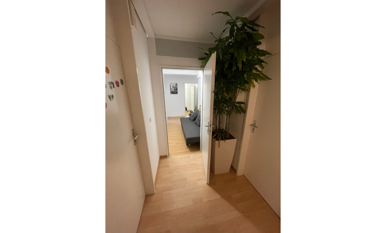 Coworking Hornusstraße Freiburg im Breisgau Zähringen