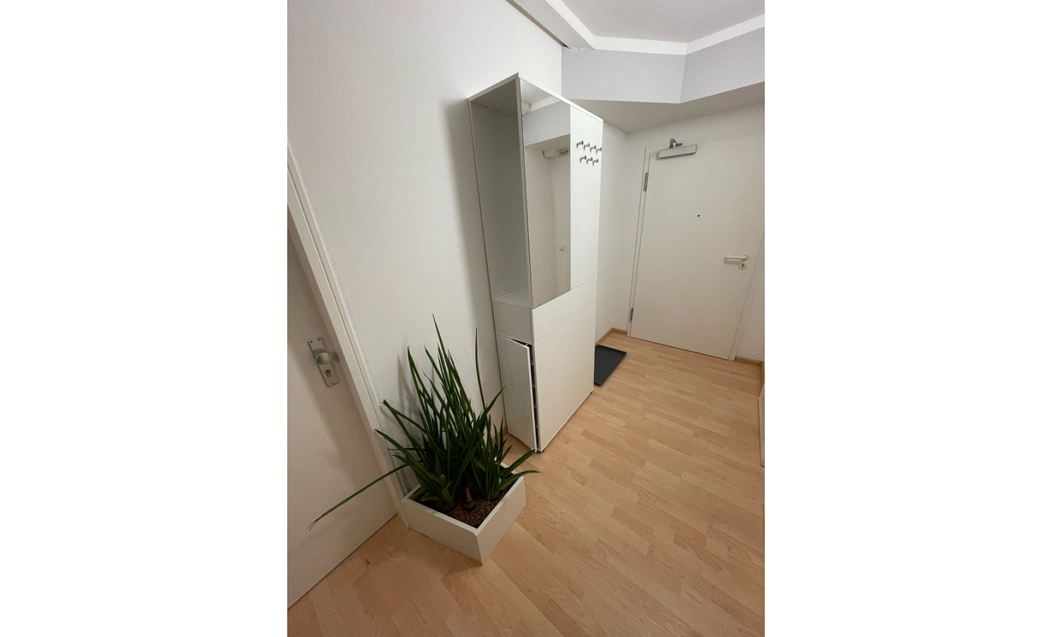Coworking Space Hornusstraße Freiburg im Breisgau Zähringen