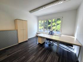 Lichtdurchflutetes und modernes Büro