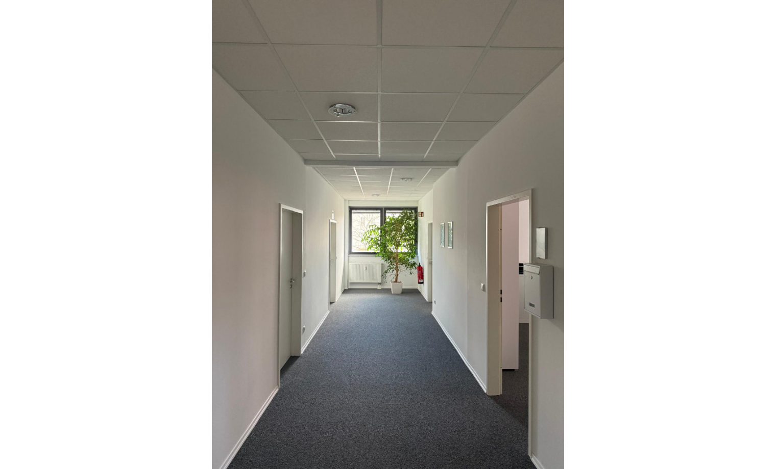 Coworking Bischof-von-Henle-Str. Regensburg 