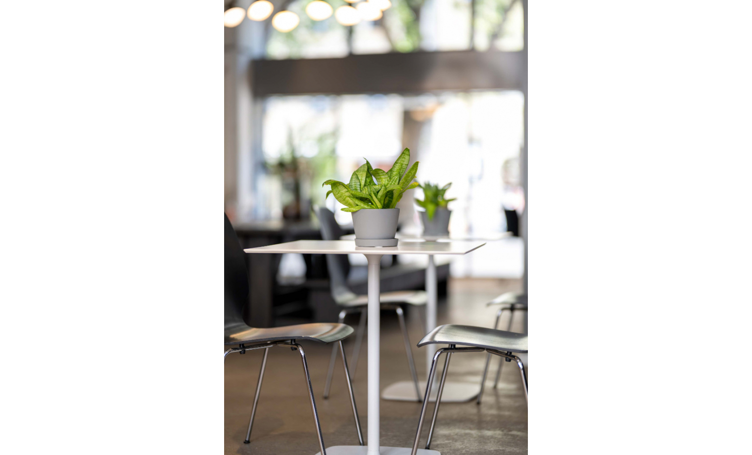 Coworking Pappelallee Berlin Prenzlauer Berg