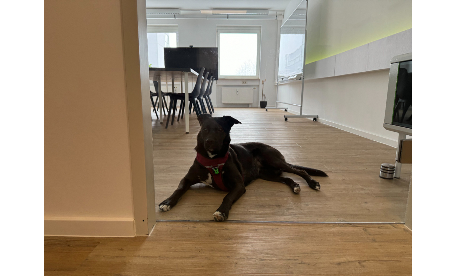 Coworking Zeppelinstraße Garching bei München 