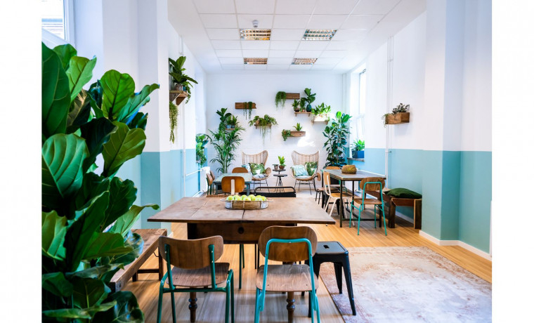 Shared Office Schwedenstraße Berlin Wedding