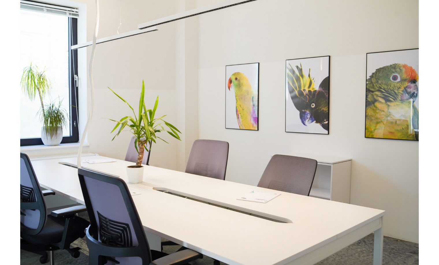 Shared Office Nobistor Hamburg Altona-Altstadt