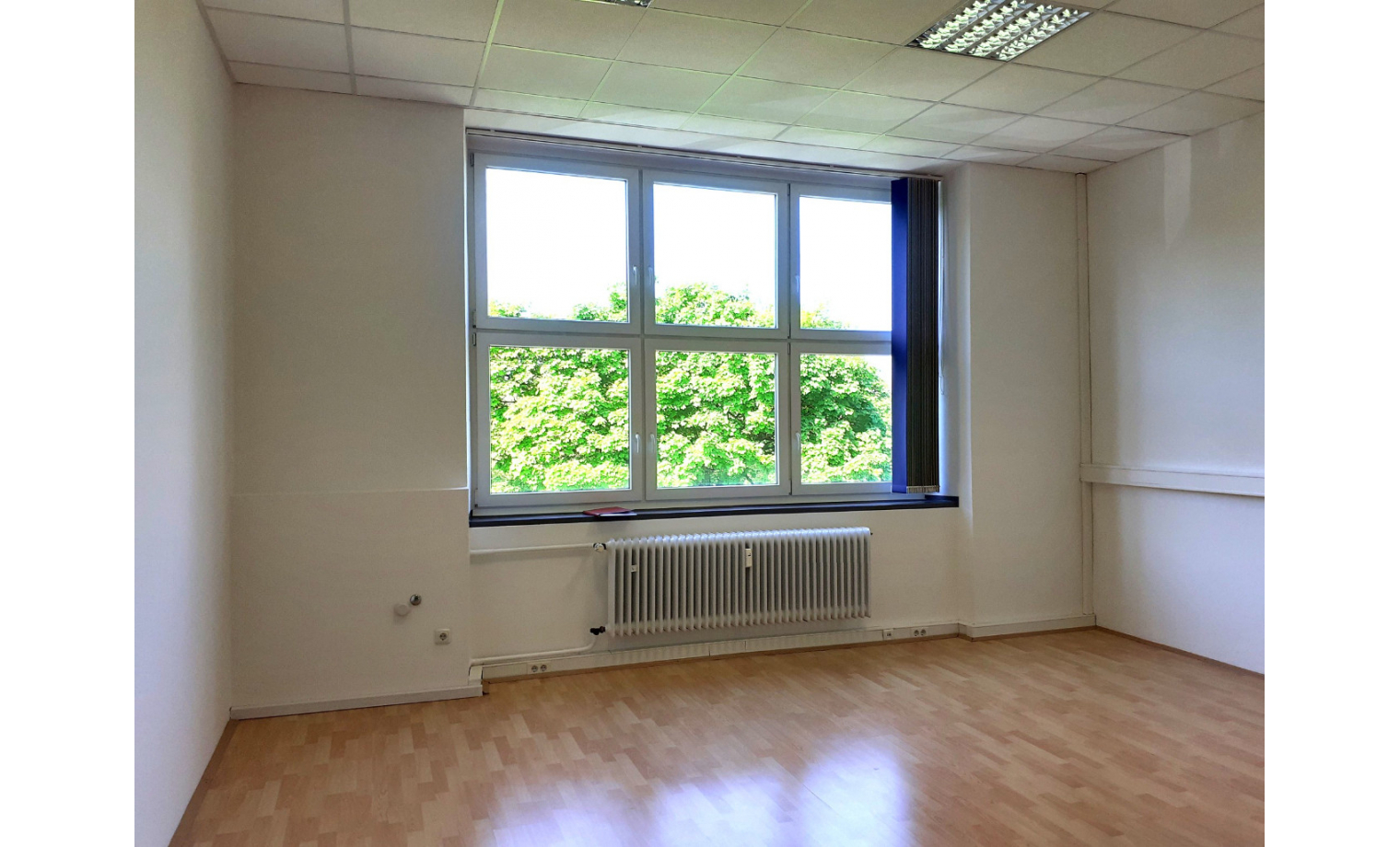 Büro mieten Rehmstraße Augsburg 