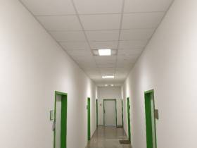 * Ihr neues Büro/Praxis am Siebentischwald *40qm* ab sofort FREI *