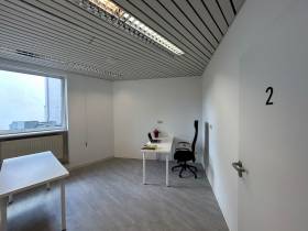 Moderne Schreibtischplätze im ruhigen Coworking Space