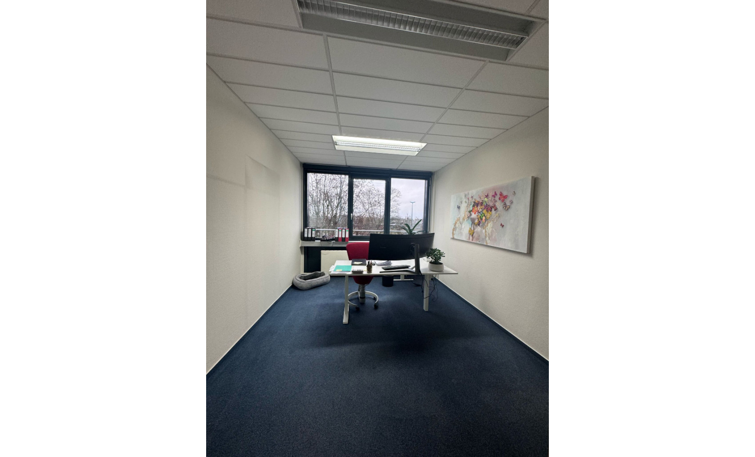 Büro mieten Magdeburger Straße Halle (Saale) 
