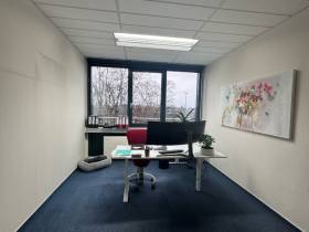 Bürofläche zu vermieten