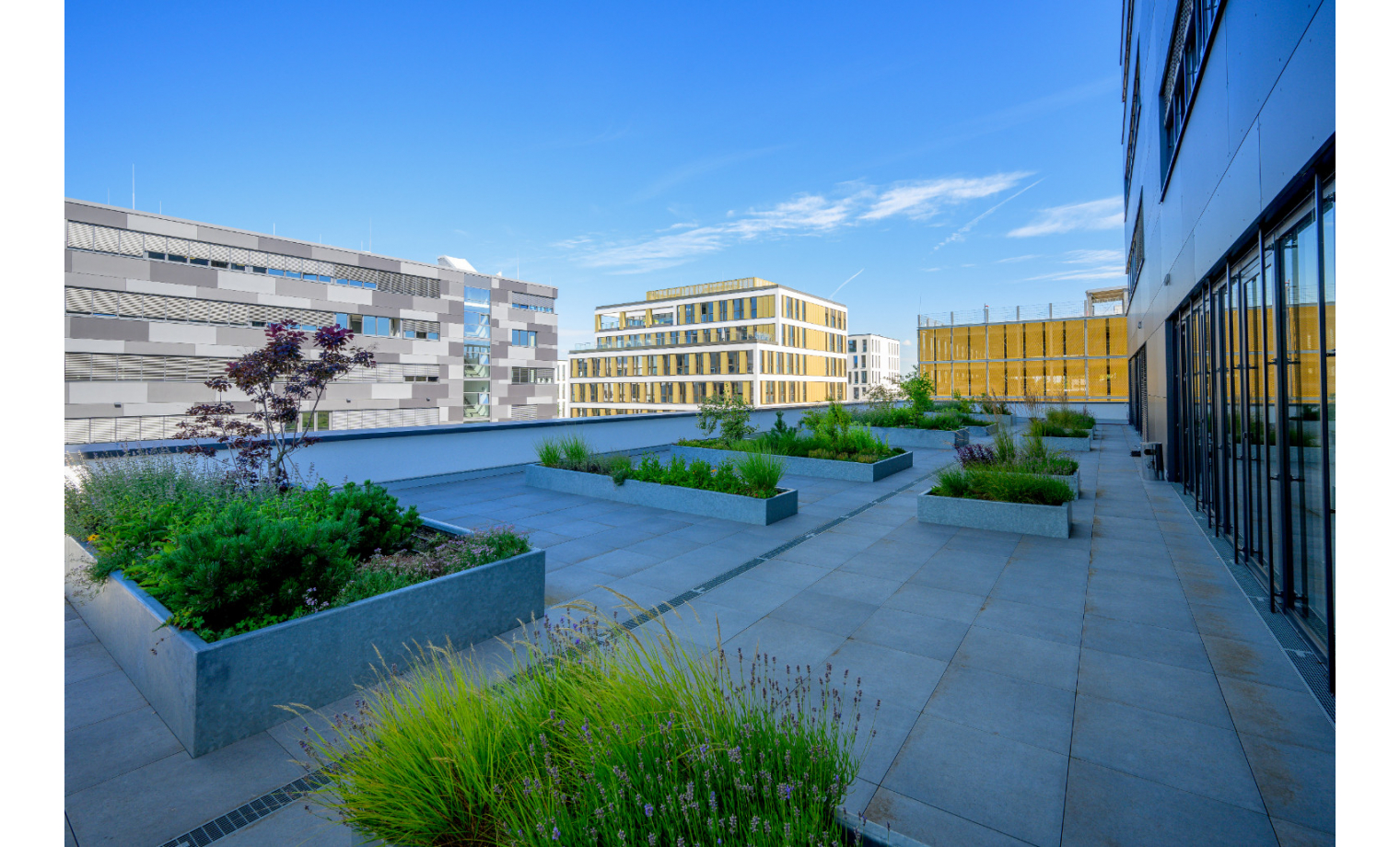 Coworking Rheinpromenade Monheim am Rhein 