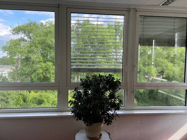 Repräsentative und lichtdurchflutete Büroetage in Hamburg — Bild 3