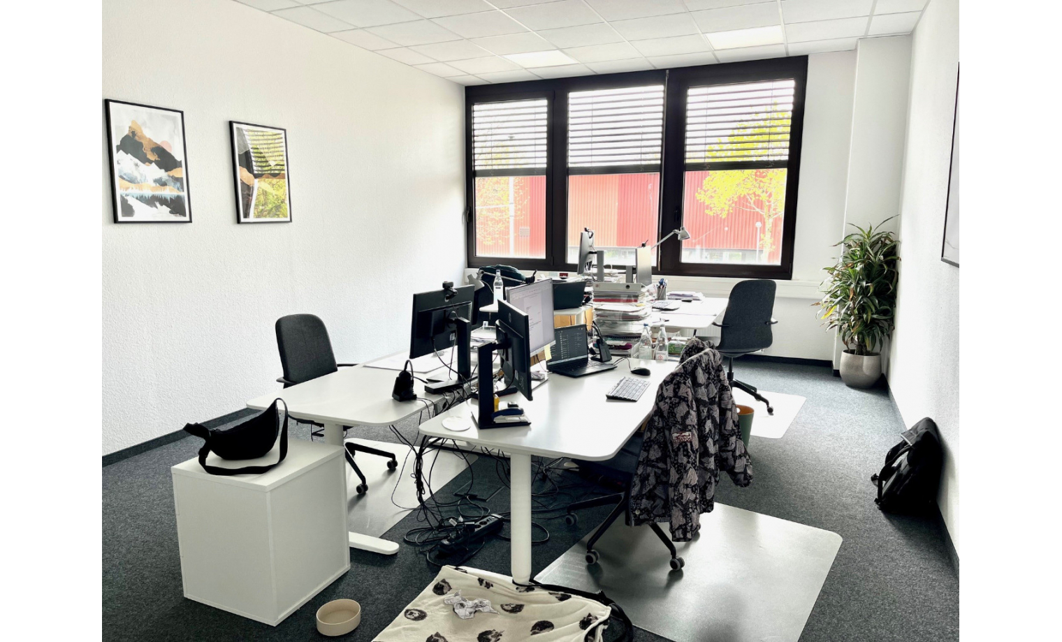 Büro mieten Toyota-Allee Köln Marsdorf