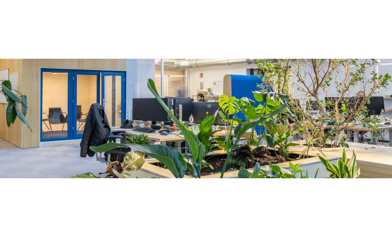 Büro mieten Scheidtweilerstraße  Köln Lindenthal
