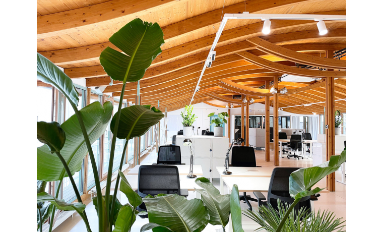 Büro mieten Rosenthaler Straße Berlin Mitte