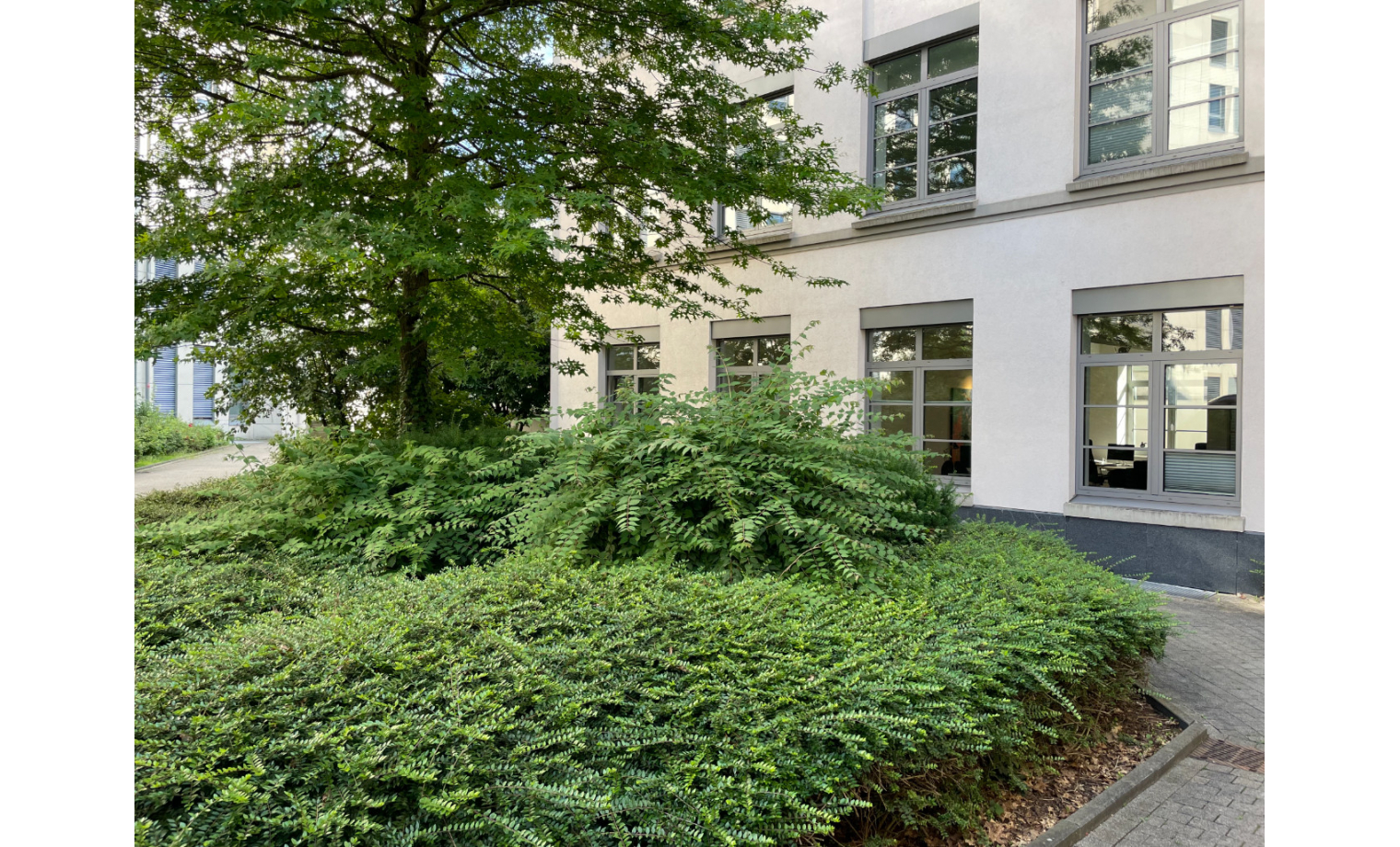 Coworking Space Clemensstrasse Frankfurt am Main Bockenheim