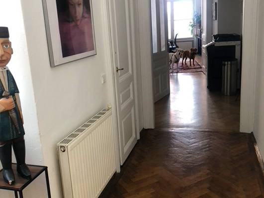 Arbeitsplätze in unserem schönen großen Altbaubüro im 7 Bezirk in Wien — Bild 5