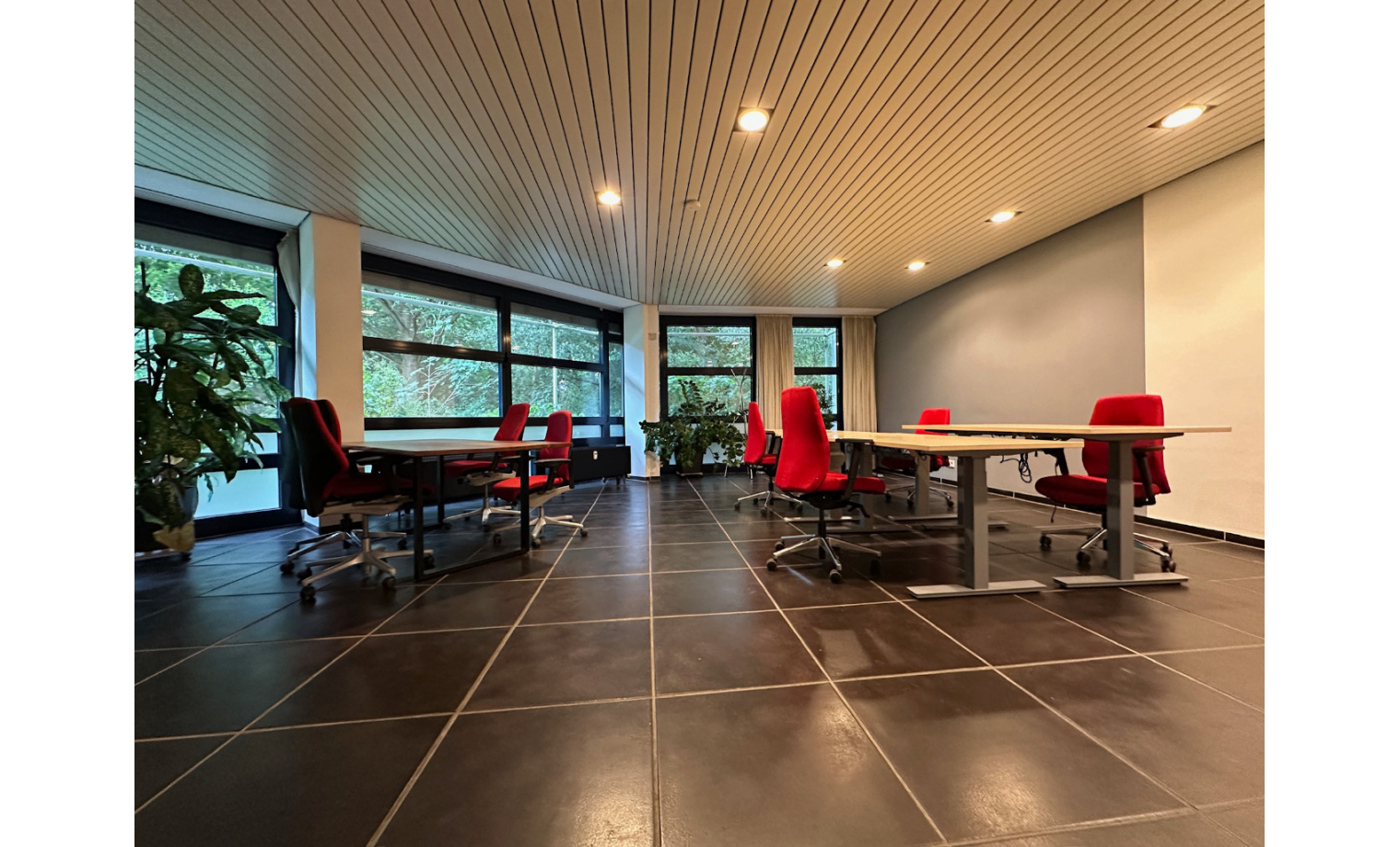 Shared Office Dr.-Carlo-Schmid-Straße Nürnberg 