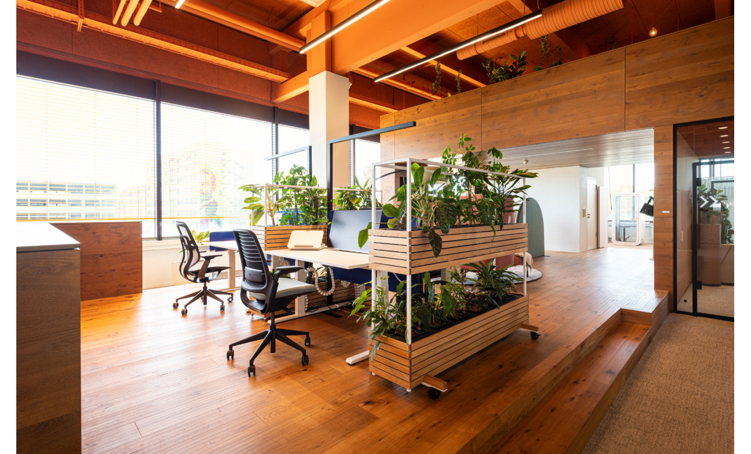 Coworking Galvanistraße Mannheim 