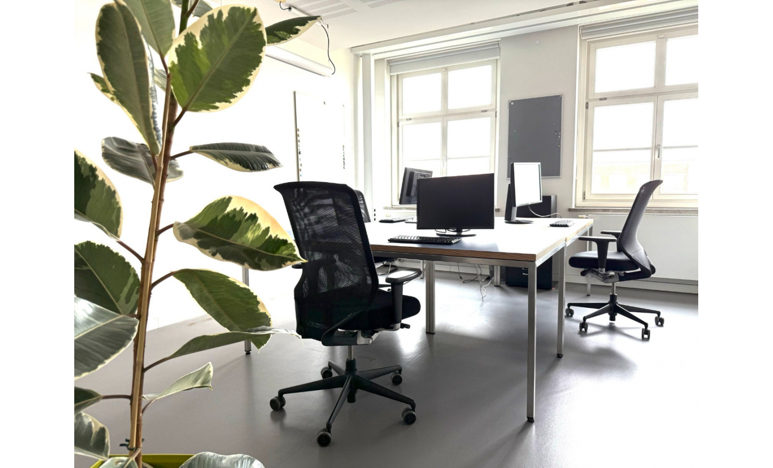 Büro mieten Blumenstraße München Altstadt-Lehel