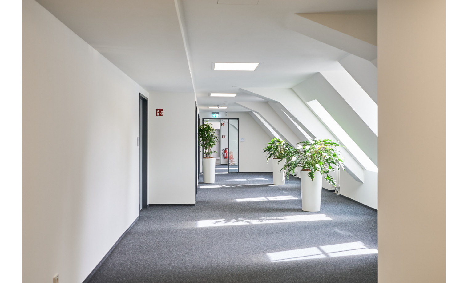 Bürogemeinschaft Königsbrücker Landstraße Dresden 