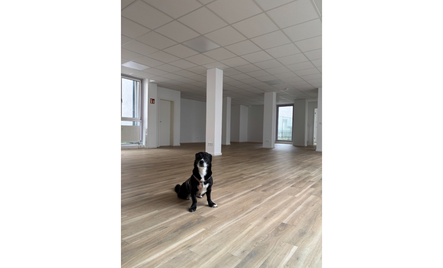 Büro mieten Nymphenburger Straße München Neuhausen-Nymphenburg