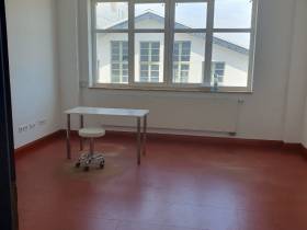 Modernes Einzelbüro – hell, ruhig, mit Internet