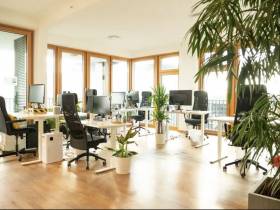 Großzügiges Shared Office am Potsdamer Platz über 180 qm Gesamtfläche