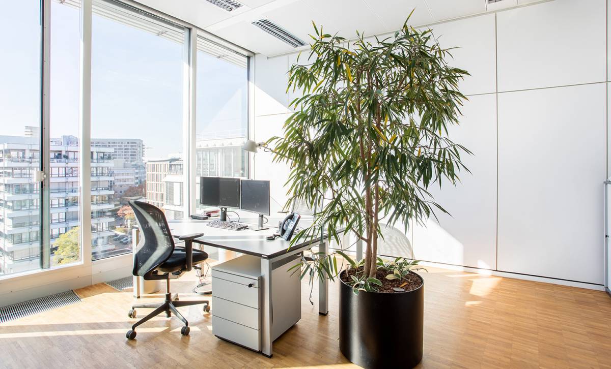 Büroraum 46,2 m²