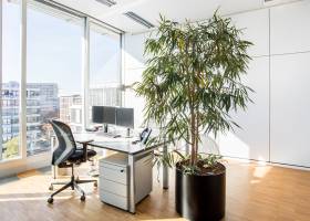 Büroraum 46,2 m²