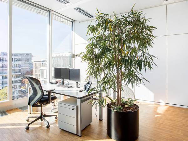 Lichtdurchflutete Bürogemeinschaft mit Alpenblick in München-Laim — Bild 4