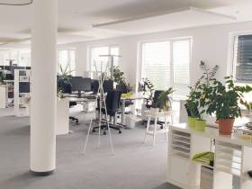 Arbeiten in entspannt konzentrierter Atmosphäre