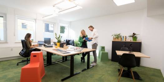 Flexibler Arbeitsplatz, Einzel- und Teambüros