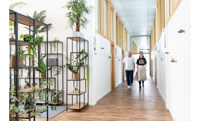 Büro mieten Lindenallee Essen Stadtkern