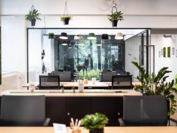 Stylischer Coworking Space mit Büros in Essen Stadtkern — Bild 6