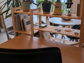Hundefreundlicher Schreibtischplatz mit Blick nach draußen