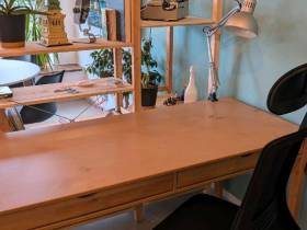 Hundefreundlicher Schreibtischplatz mit Blick nach draußen
