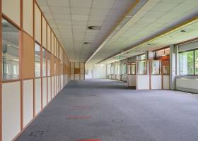Bürofläche EG
