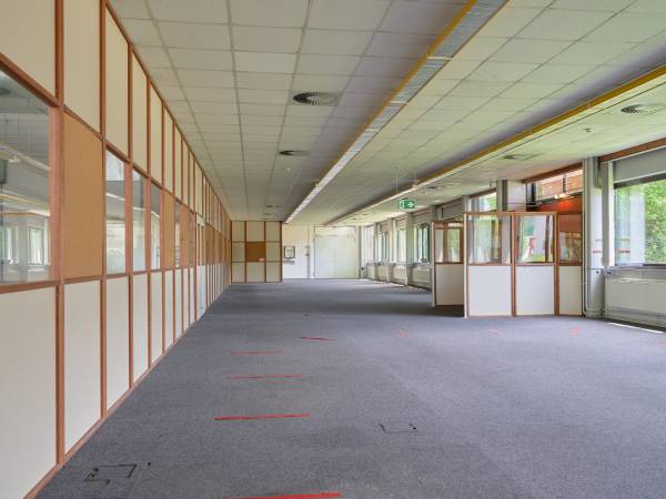 Attraktive alleinstehende Büroflächen in ruhiger zentraler Lage — Bild 4