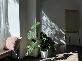 Ein wunderschönes, grünes Büro / Meeting Space in Berlin Mitte
